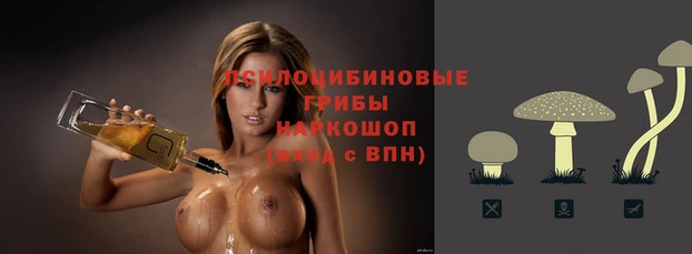ГАЛЛЮЦИНОГЕННЫЕ ГРИБЫ Алзамай