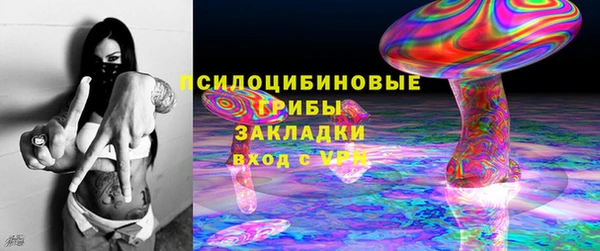 ГАЛЛЮЦИНОГЕННЫЕ ГРИБЫ Алзамай