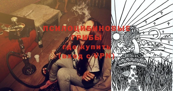 ПСИЛОЦИБИНОВЫЕ ГРИБЫ Алексеевка